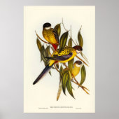 エリザベス・グールドによるブラウンのインパケート ポスター (正面)