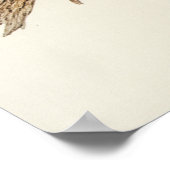 エリザベス・グールドによるリードビーターのコカトゥー ポスター (角)