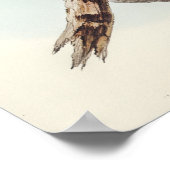 エリザベス・グールドによる血に染まったコカットー ポスター (角)