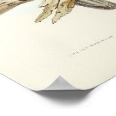 エリザベス・グールドの白い胸のワシ ポスター (角)