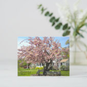 エリザベス・パーク、ハートフォードCTはがき ポストカード (スタンド正面)