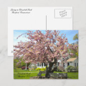 エリザベス・パーク、ハートフォードCTはがき ポストカード (正面/裏面)