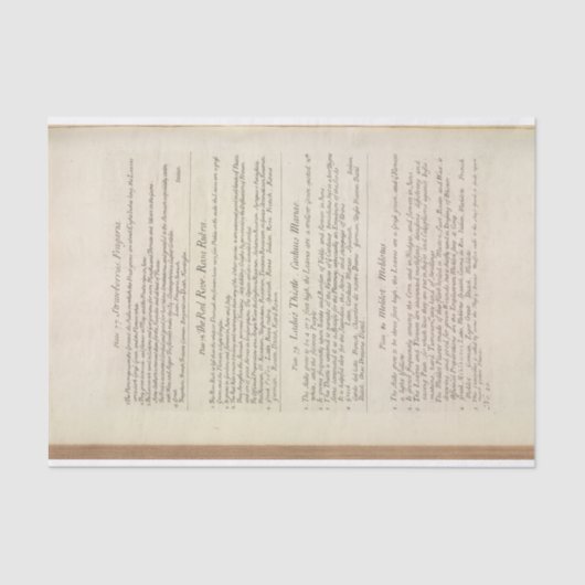 エリザベス・ブラックウェルの好奇心あるハーブのページ 薄葉紙 (正面)