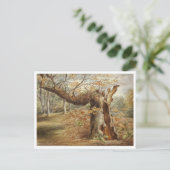 エリザベス・マレーによる腐れ木 ポストカード (スタンド正面)