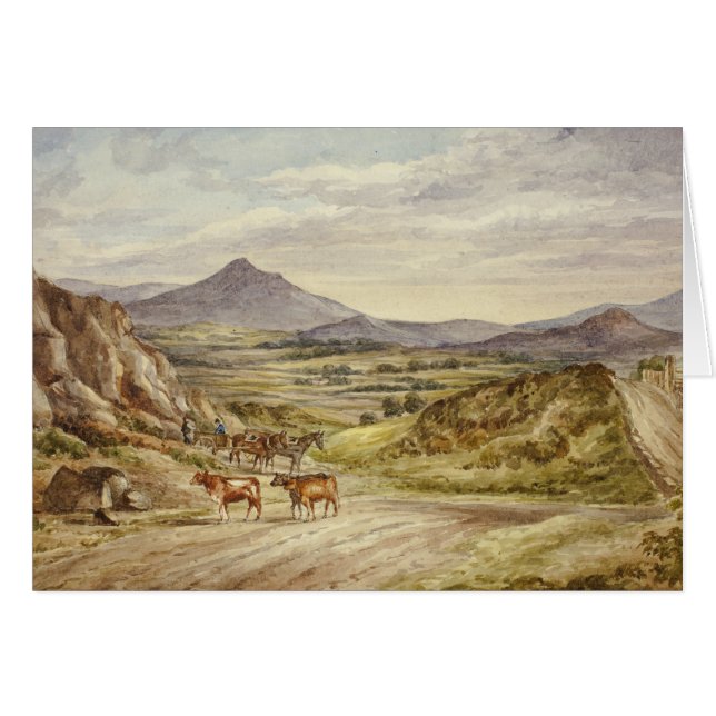 エリザベス・マレー – ウィックローヒルズ (正面横)