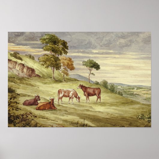 エリザベス・マレー – 鹿の公園、キルケニーの可能性 ポスター (正面)