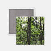 エリジャブリストウ州パーク、デクスター、オレゴン マグネット (正面/裏面)