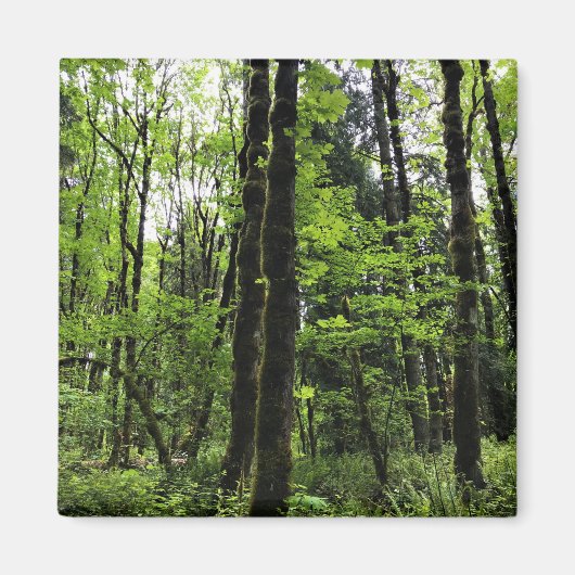 エリジャブリストウ州パーク、デクスター、オレゴン マグネット (正面)