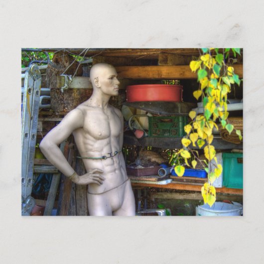 エリスガーデンIII ポストカード (正面)