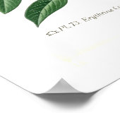 エリスリナ・クリスタガリ ポスター (角)