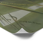 エリスローワンブルークラウドウォーターリリーヴィンテージ花 ポスター (角)