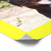 エリゼ2006 ポスター (角)