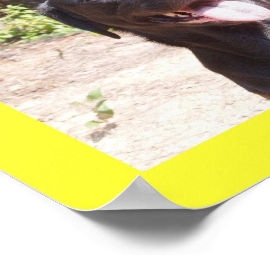 エリゼ2006 ポスター (角)