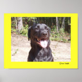 エリゼ2006 ポスター (正面)