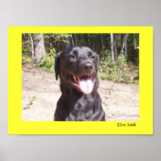 エリゼ2006 ポスター