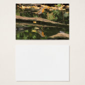 エリタカスルベクラ (正面&裏面)