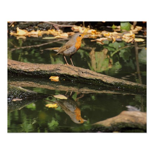 エリタカスルベクラ ポスター (正面)