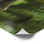 エリタカスルベクラ ポスター (コーナー)