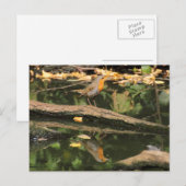 エリタカスルベクラ ポストカード (正面/裏面)