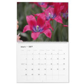 エリック・アスベリー写真 カレンダー (3月 2027)