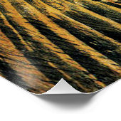 エリック・ラヴィリア絵を描ス – 有名な ポスター (コーナー)