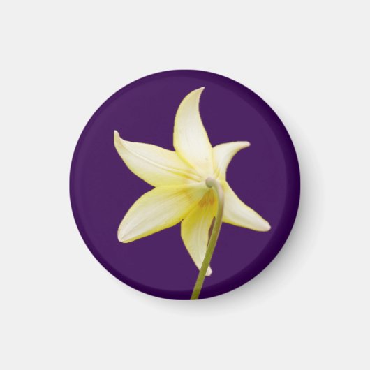 エリトロニウム磁石 マグネット (正面)