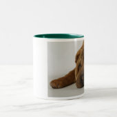 エリマキシギの朝 ツートーンマグカップ (中央)