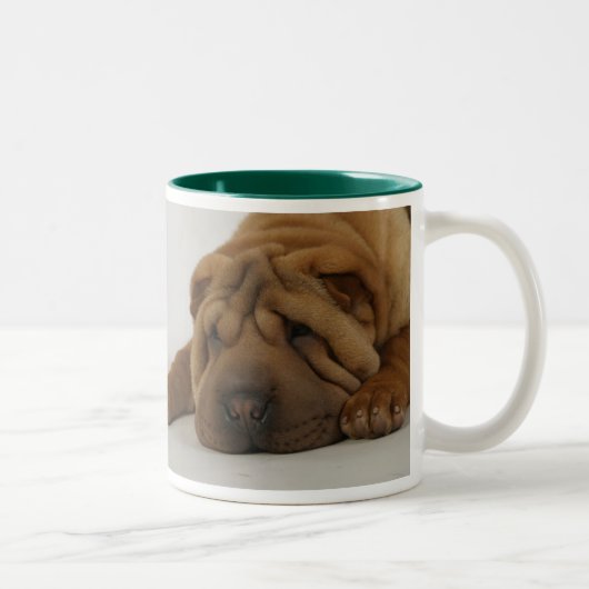 エリマキシギの朝 ツートーンマグカップ (右)