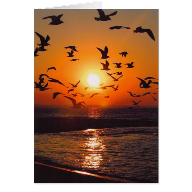 エリーサンセット湖 (正面)