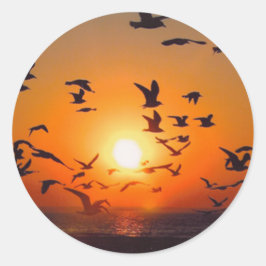 エリーサンセット湖 ラウンドシール