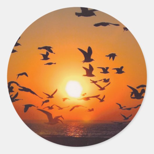 エリーサンセット湖 ラウンドシール (正面)