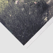 エリービクトリアンガーデンパスデコページティッシュペーパー 薄葉紙 (詳細)