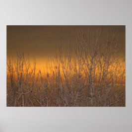 エリー湖の地平線のポスター ポスター