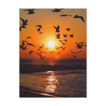 エリー湖の夕日