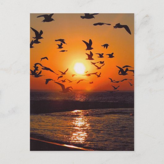 エリー湖の夕日 ポストカード (正面)