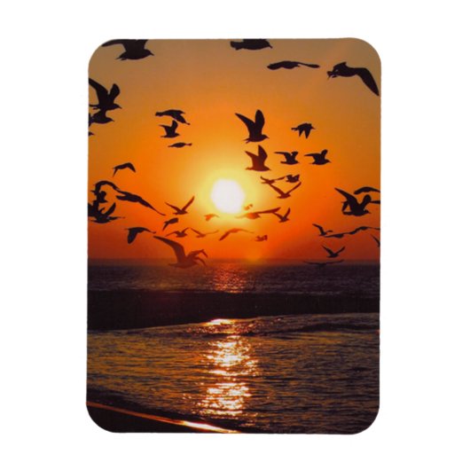 エリー湖の夕日 マグネット (縦)