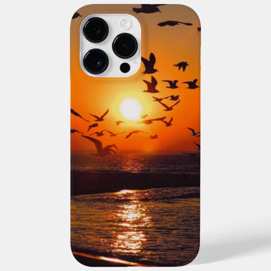 エリー湖の夕日 Case-Mate iPhoneケース (裏面)