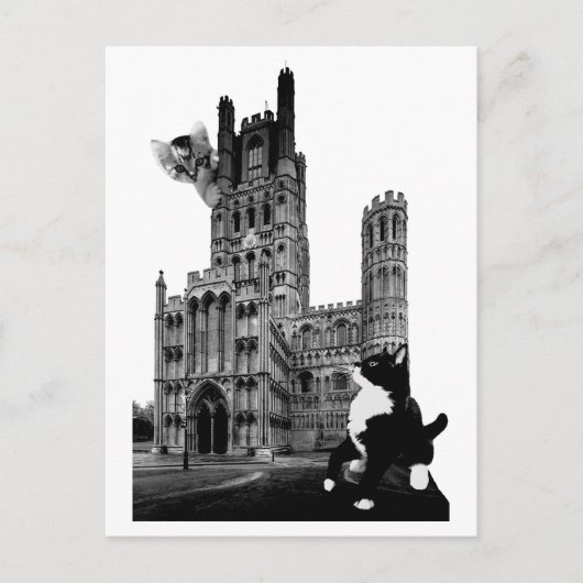 エリー遊カテドラルの子猫 ポストカード (正面)