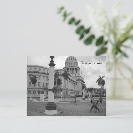 エルカピオロ ポストカード (スタンド正面)