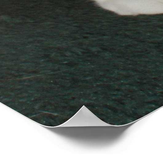 エルガト ポスター (角)