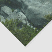 エルキャピタンのロッククライマー 薄葉紙 (詳細)