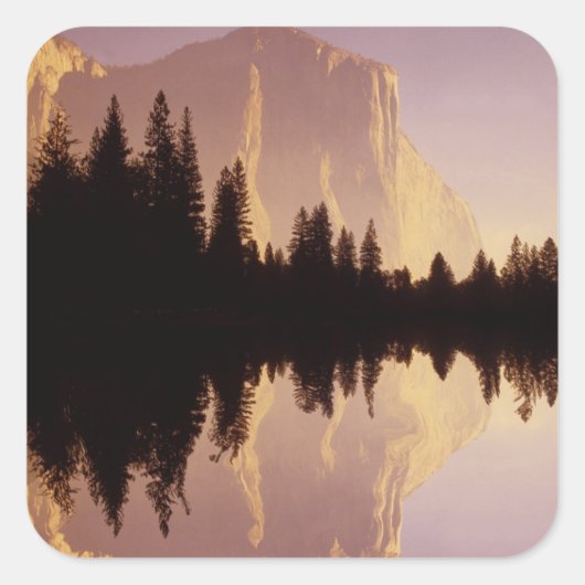 エルキャピタン スクエアシール (正面)