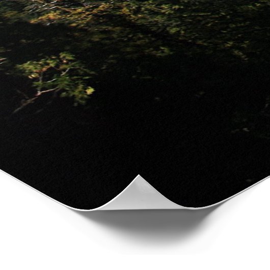 エルキャピタン・ヨセミテ国立公園 ポスター (角)