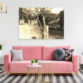 エルギン・イリノイ・ローズパーク1890の写真ベア キャンバスプリント (インサイチュ (リビング))