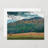 エルクのあるノースカロライナの風光明媚な草原 ポストカード (正面/裏面)
