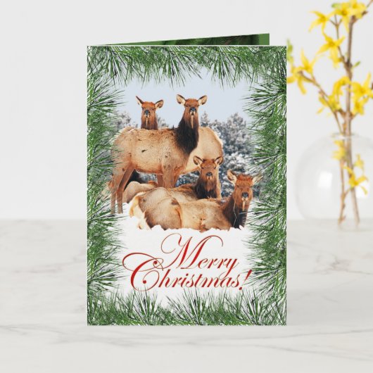 エルクのクリスマスの挨拶 カード (黄色い花)