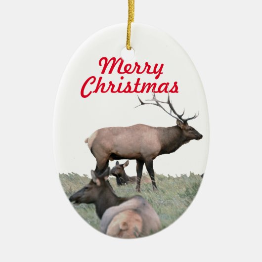 エルクのセラミックオーナメント セラミックオーナメント (正面)