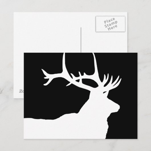 エルクの頭 ポストカード (正面/裏面)