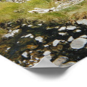 エルクの骨格 ポスター (角)