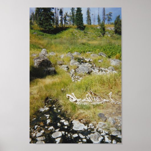 エルクの骨格 ポスター (正面)